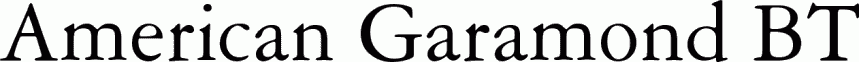 Preview American Garamond BT free font