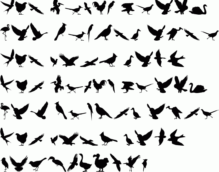 See the Birds Of A Feather free font download characters