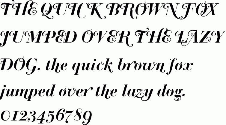See the Bodoni Classic Bold Italic Swashes PDF free font download characters