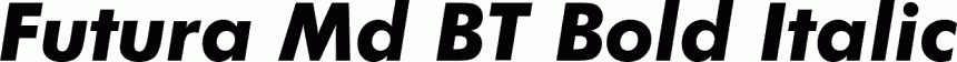 Preview Futura Md BT Bold Italic free font