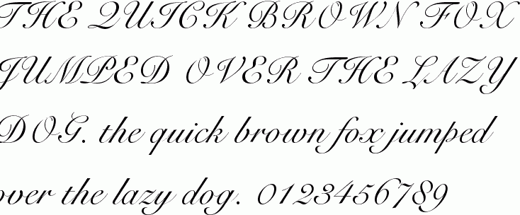 See the Shell Normal free font download characters