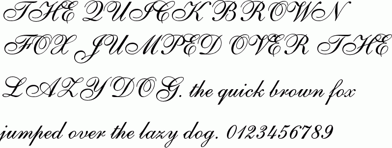 Shelley free font download