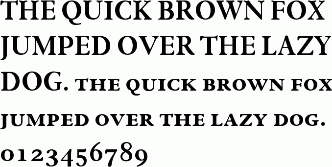 See the Winchester New ITC Bold SC free font download characters