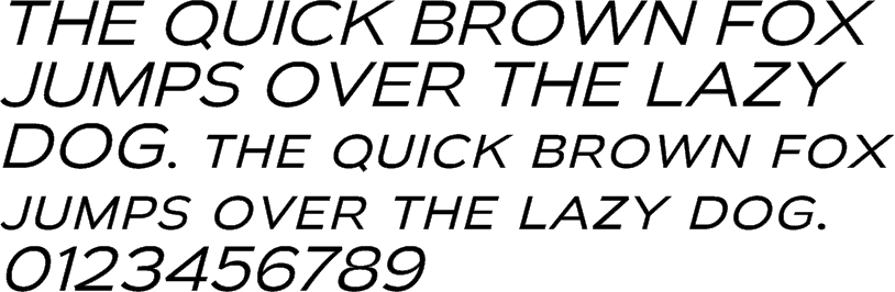 See the Biondi Sans Book Italic characters