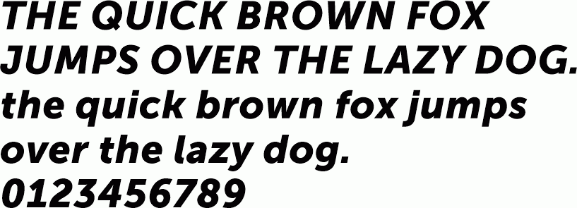 See the Museo Sans 900 Italic characters