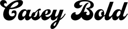Preview Casey Bold font